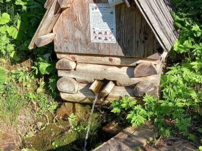 Pod Staníkovom cestou na Andrejcovú a Kráľovu hoľu_Katarína Fedorová