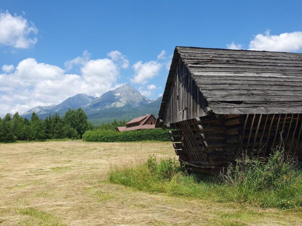 žákovska polana Velky Slavkov